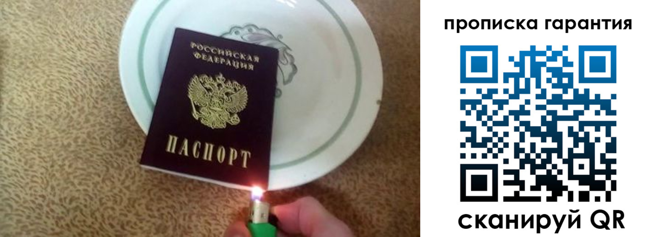 прописка гарантия в Зее